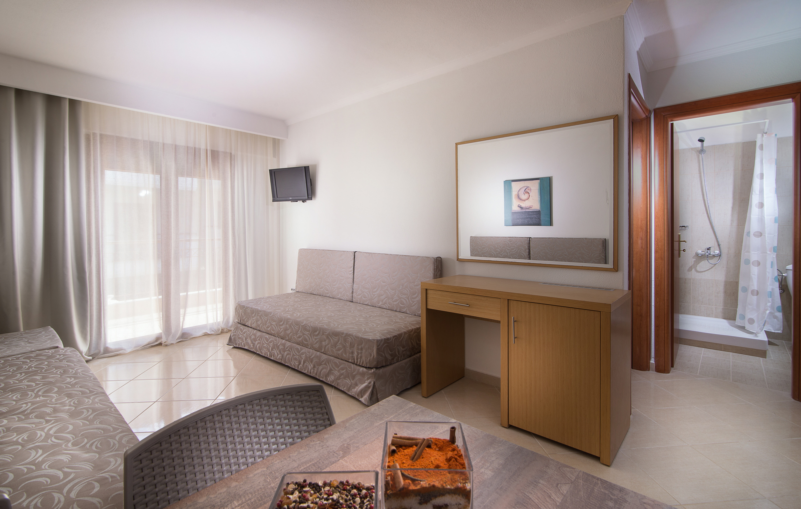 APANEMIA-ONE BEDROOM APARTMENT (20)